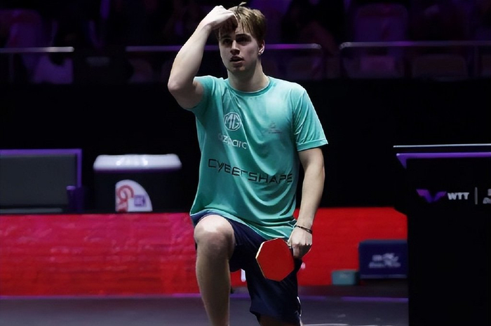 他们打算在 他们打算在