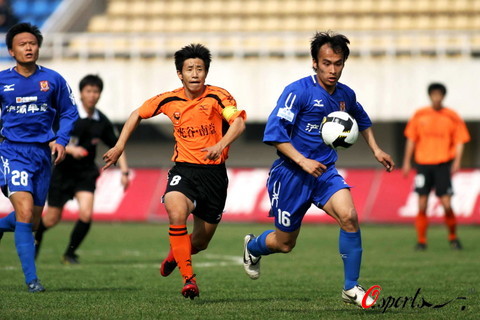 低位组织 低位组织